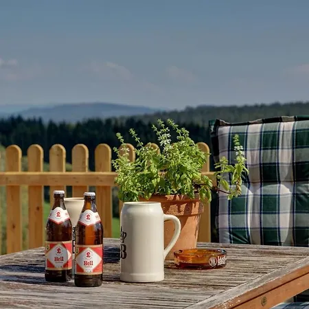 Stilvolle Im Gaestehaus Wistlberg Mit Eigener Sauna Und Traumhaftem Weitblick Mitten Im Nationalpark * Mauth