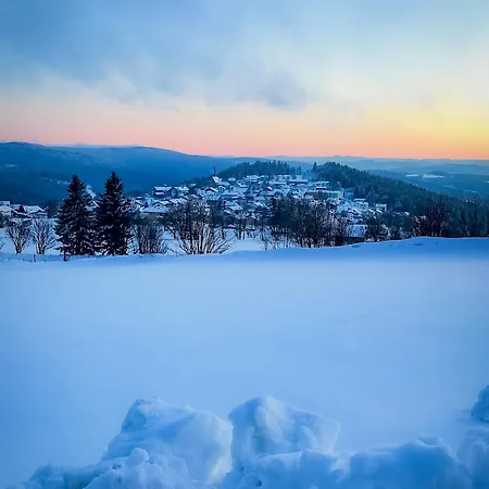 Apartmán Stilvolle Im Gaestehaus Wistlberg Mit Eigener Sauna Und Traumhaftem Weitblick Mitten Im Nationalpark *